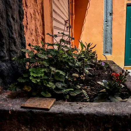 Little House Napoli-3